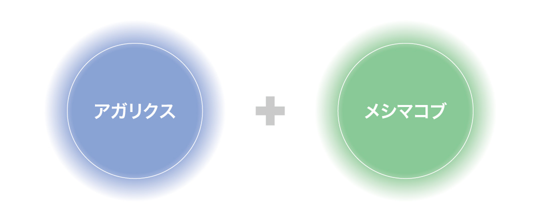 アガリクス+メシマコブ