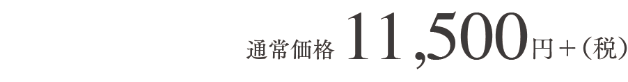 通常価格20,000円+（税）